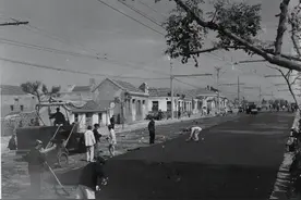 台东区，消失已28年！（上篇）图片