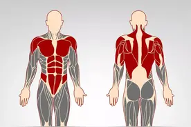 怕冷的人和抗冻的人，体质上究竟有什么区别？图片