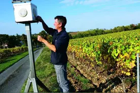 福建水稻听《大悲咒》增产15%，每天播放3小时，声波助长有何奥秘图片