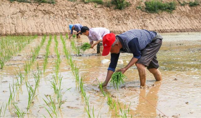 四川省民生研究会新媒体中心-官网