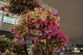 泰剧明星Aff，是天生的美丽女主角图片