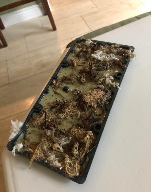 那些看起来普普通通却让人细思极恐的片