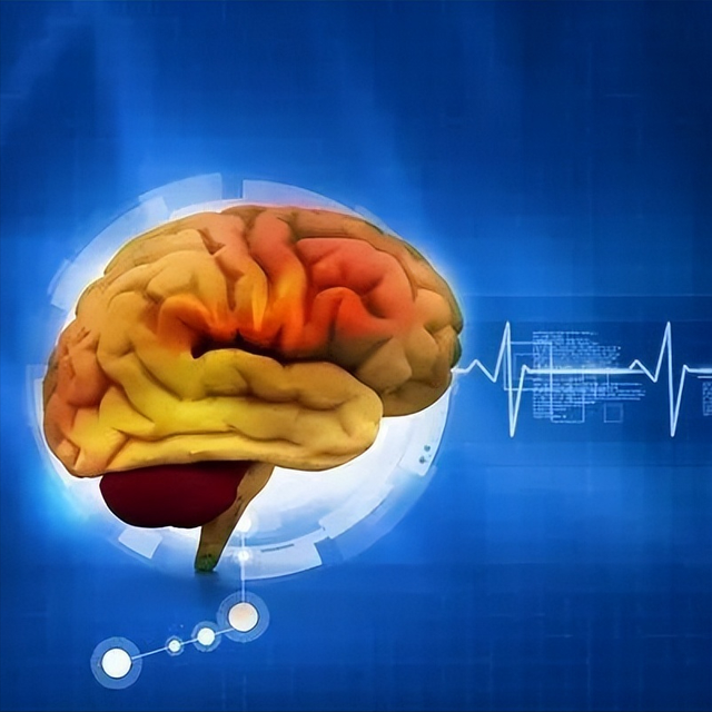 ʮ��ڿƼ���������ֲ���ŵ�3���쿴������ʲô��