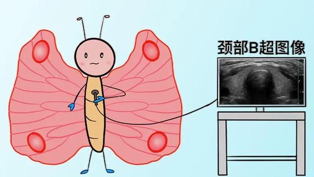 甲状腺超声报告看不懂？那是你方法没找对，一张表帮你读懂良恶性