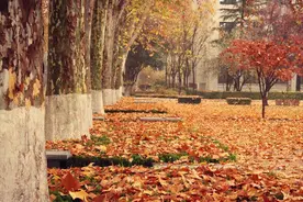 写透人情冷暖、世态炎凉的10首诗，读完对人生的认识更进了一层图片