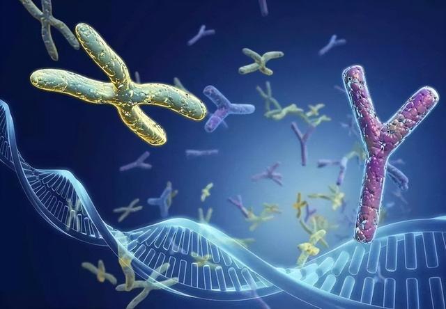 退休医生坦言：寿命长不是靠多走路和多睡觉，坚持2件小事很重要