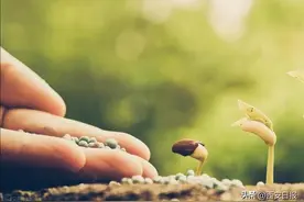 持续 140 多年，熬倒三代科学家，这个史上最漫长的实验到底在研究啥？图片