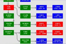 人类迁徙六万年：父系单倍群的起源与扩张图片