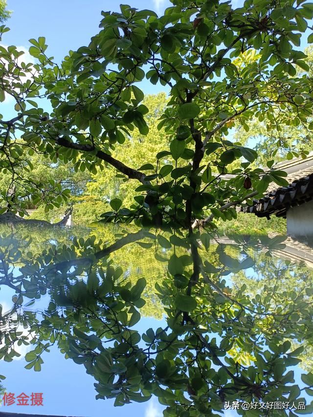 一个马鞍山人游苏州之三