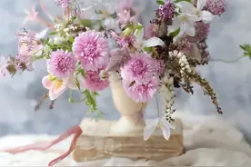 童自荣：发现佳宁图片