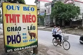 老广说的“一鼠顶三鸡”“鼠肉能治秃顶”是真的吗？图片