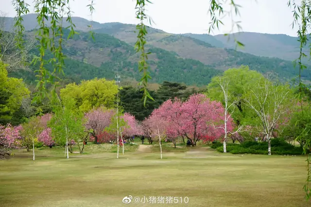 李学蛟：老宅情（图3）