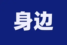 被猫狗抓咬伤怎么处理？去哪儿打狂犬疫苗？记者帮你问清了图片