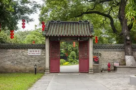 “好树”进门，福泽后人！10种吉利树，好养又霸气，建议养一棵图片
