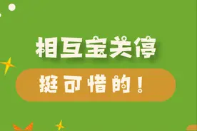 相互宝关停，我来找点骂图片