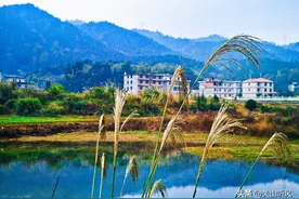 俗语：门前有水不是福，屋后有山灾祸足，建屋选址为啥这样说？图片