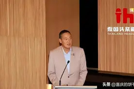 泰国新老总理接班顺利”！克拉拉运河看贝东丹，巴逸党派闹起来图片