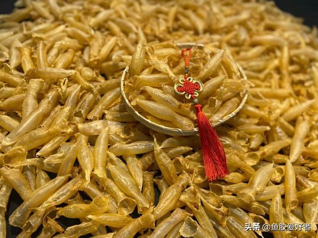 假鱼胶泡发后是什么样子 2026年假鱼胶泡发后是什么样子图片