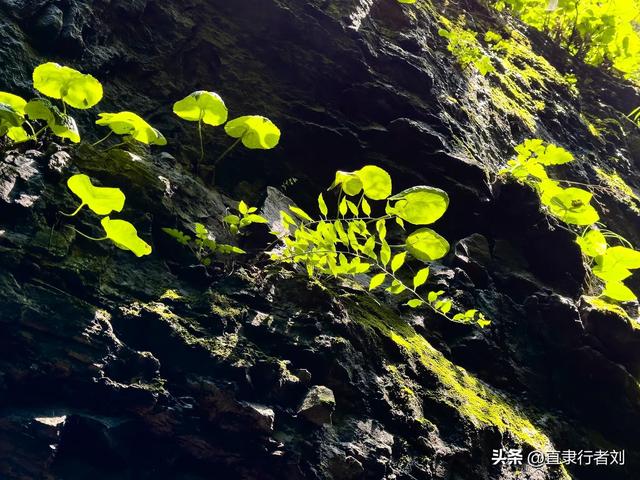 保定有一半是山区，但这座山的风景在我爬过的保定大山能排第二