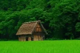 宁可傻，也不要自作聪明图片