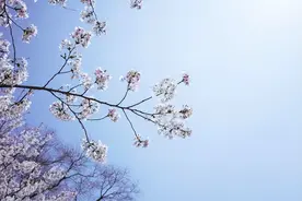 夫妻缘分，命中注定，不可强求图片
