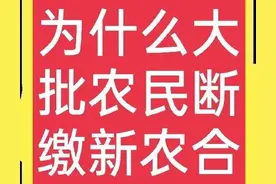 “不交新农合了”大批农民断缴新农合，背后的因让人扎心图片