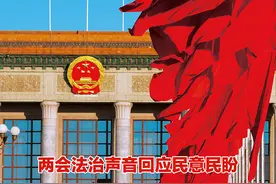 专家法治观点——农民收益权是推进农民增收的利器图片