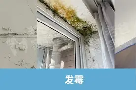 墙面发霉、起皮，如何补救和预防？保姆级攻略来了图片