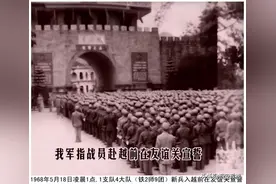 1965年援越抗美，炊事班拿大蟒下锅，小战士被马蜂蜇昏迷图片