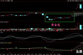 浙大网新：拉升前砸出黄金坑，连续涨停板快速突破，拉升结束了吗图片
