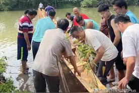 龙腾大湾区丨“新龙”入水！道滘龙舟队积极备战龙舟赛事图片