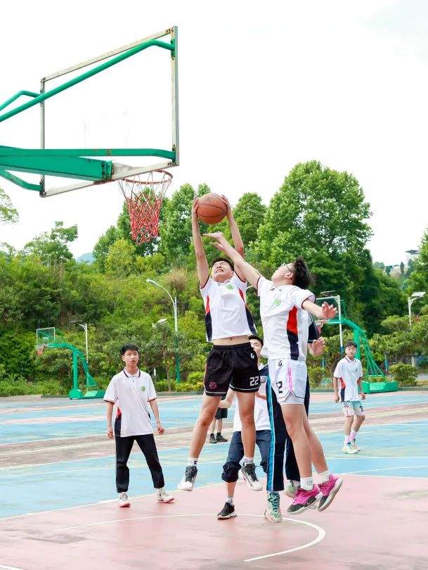 四川省民生研究会新媒体中心-官网