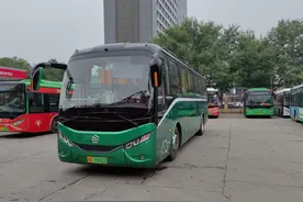 临时开通多条摆渡公交线路，石家庄公交全力保障首届滹沱河艺术生态岛音乐嘉年华图片