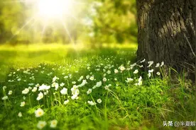 丈夫斥责妻子照顾婆婆不周，自己请假伺候7天，丈夫妥协：请保姆图片