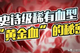 《狂飙》里出现的熊猫血，现实中到底有多罕见？图片