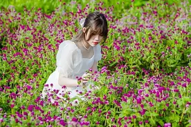 中国有座“无夏”之城，夏季均温18°C还少见蚊子，你去过吗？图片