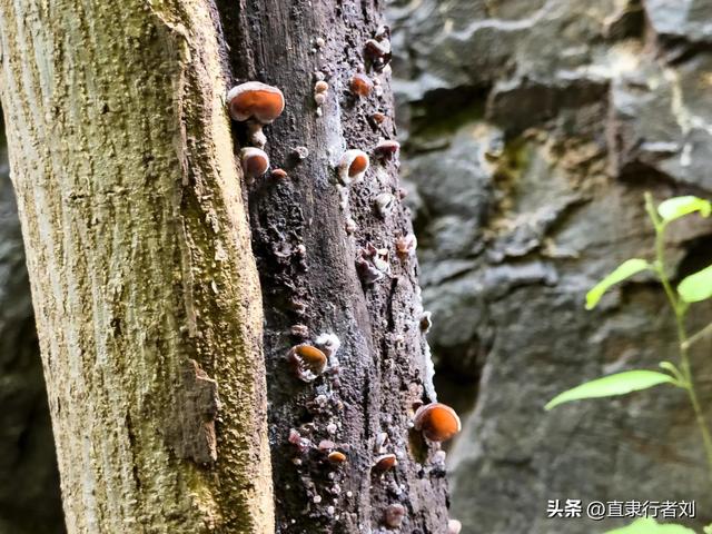 保定有一半是山区，但这座山的风景在我爬过的保定大山能排第二