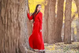 十一月你好，愿所有美好如约而至图片