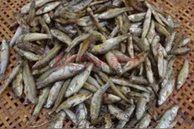 火焙鱼的正确做法图片