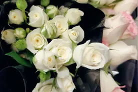 分享一些分手告别的文案吧图片