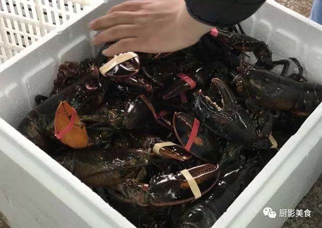 40头的花胶是几级 2025年花胶40头是什么意思?