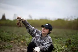 孙俪晒出生活照：屋外耕田种菜，室内泡茶书法，幸福得像花儿一样图片