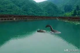 河南铜山湖水怪为何销声匿迹了？难道它隐藏了身影？图片