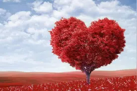 双语赏析：LOVE爱情图片