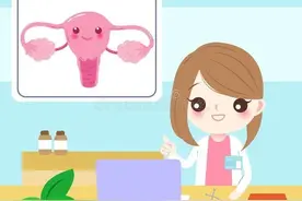 单角子宫试管成功率高吗？图片