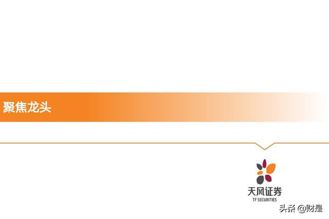 基础化工行业2022年中期策略：守正待时，掘金优质成长