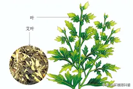 面对艾灸馆的“烟气袭人”，我们应该怎么做图片