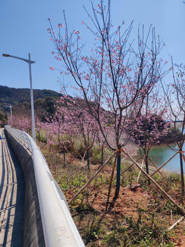 ���˽ڽ��յ��ر�-��ӣ��?