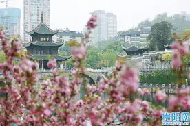 【有理贵阳】带头落实规定图片