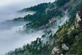 重磅！境内外游客6月游庐山免门票！图片